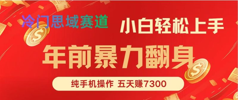 年前爆火项目，5天赚了7300-一个公司创业项目 - 淘金吧