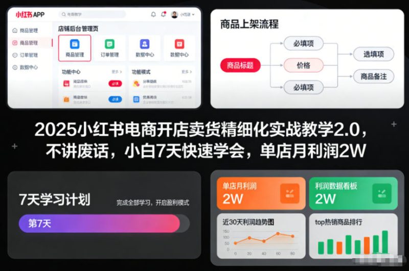 2025小红书电商开店卖货精细化实战教学2.0，不讲废话，小白7天快速学会，单店月利润2W-一个公司创业项目 - 淘金吧