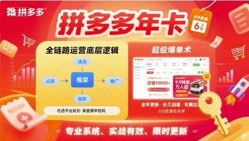 拼多多年卡，拼多多全链路运营底层逻辑，超级爆单术【更新12月】-一个公司创业项目 - 淘金吧