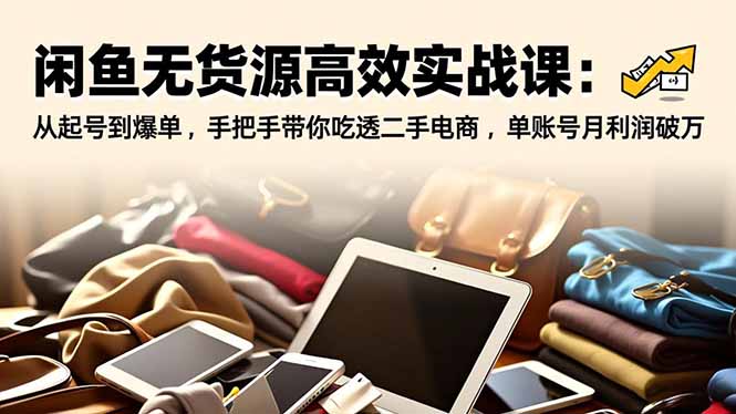 闲鱼无货源高效实战课：从起号到爆单，手把手带你吃透二手电商，单账号月利润破万-一个公司创业项目 - 淘金吧