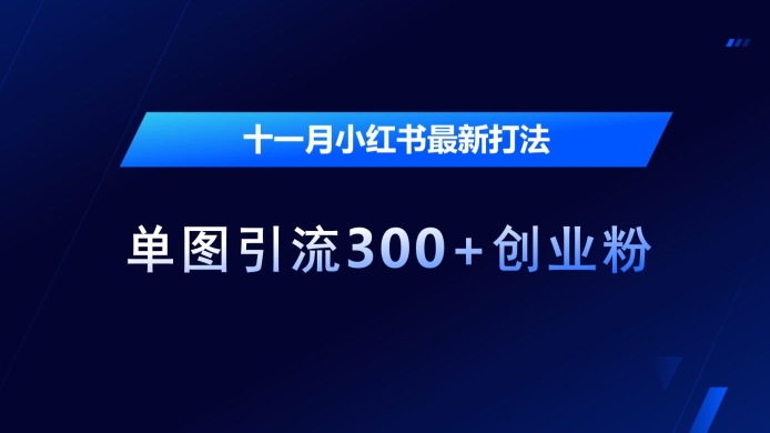 十一月小红书最新打法，单图引流300+创业粉【揭秘】-一个公司创业项目 - 淘金吧