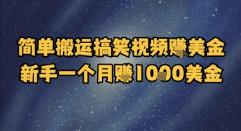 简单搬运搞笑视频挣美金,新手一个月入1k美金-一个公司创业项目 - 淘金吧