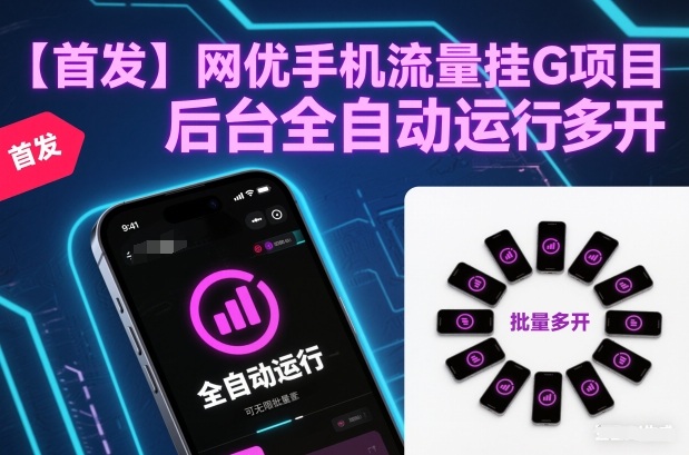 【首发】网优手机流量挂G项目,后台全自动运行,可无限批量多开【揭秘】-一个公司创业项目 - 淘金吧