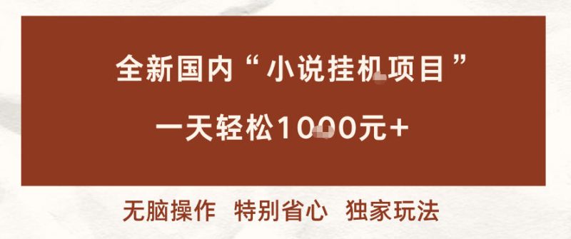 全新国内小说挂G项目,多窗口无脑跑,一天轻松1k+,特别省心【揭秘】-一个公司创业项目 - 淘金吧