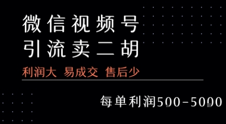 视频号卖二胡教程,利润大 易成交 售后少,一单利润5张+-一个公司创业项目 - 淘金吧