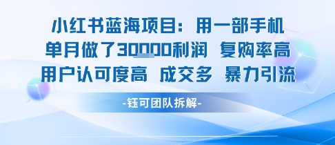 小红书蓝海项目,一部手机单月做了3W利润,小白也能月入过1W用户认可度高成交多-一个公司创业项目 - 淘金吧