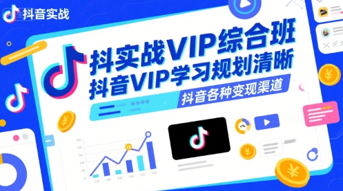 抖音实战VIP综合班，抖音VIP学习规划请晰抖音各种变现渠道-一个公司创业项目 - 淘金吧