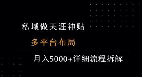 私域做天涯神贴 多平台布局 月入5k+详细流程拆解-一个公司创业项目 - 淘金吧