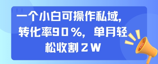 一个小白可操作私域，转化率90%，单月轻松收割2W-一个公司创业项目 - 淘金吧