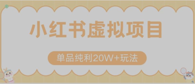 小红书卖虚拟产品,单品纯利20W+玩法分享(节系列课程)-一个公司创业项目 - 淘金吧