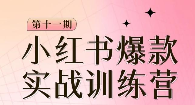 小红书博主爆款训练营第11期，手把手教你从0-1做小红书，从定位到起号到变现-一个公司创业项目 - 淘金吧