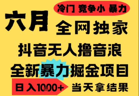 25年6月高爆抖音无人直播最新撸音浪掘金项目,小白可做,无脑日入1k+,门槛低可批量矩阵【揭秘】-一个公司创业项目 - 淘金吧