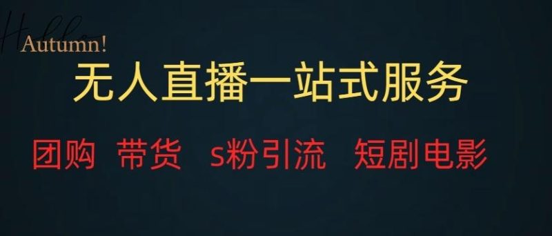 无人直播一站式服务(教程以及变现方式)-一人公司创业项目 - 淘金吧