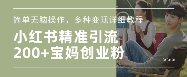 小红书混剪日引200+宝妈创业粉,简单无脑操作,多种变现详细教程-一个公司创业项目 - 淘金吧