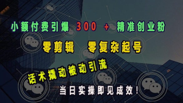 小额付费引爆 300 + 精准创业粉,零剪辑、零复杂起号,话术撬动被动引流,当日实操即见成效-一个公司创业项目 - 淘金吧