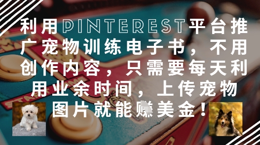 利用Pinterest平台推广宠物训练电子书,不用创作内容,只需要每天利用业余时间,上传宠物图片就能挣美金!-一个公司创业项目 - 淘金吧
