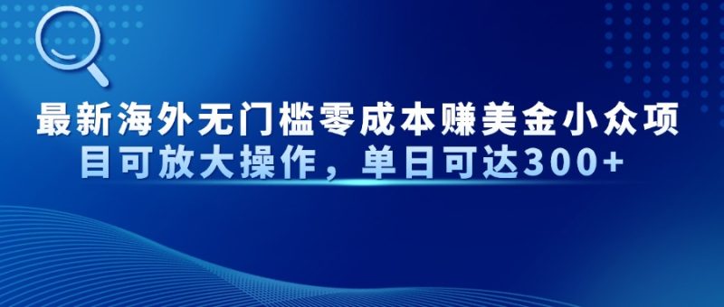 最新海外无门槛零成本赚美金小众项目可放大操作，单日可达300+-一个公司创业项目 - 淘金吧