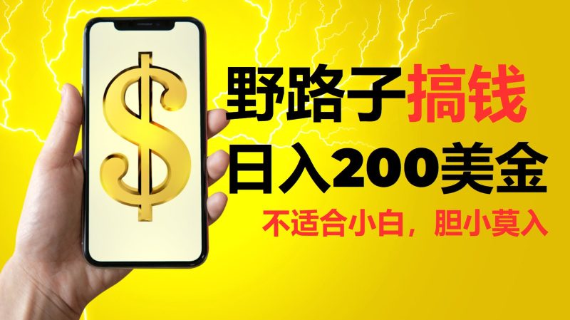 挂机野路子搞钱,日入200美金,路子很野,小白莫入-一个公司创业项目 - 淘金吧