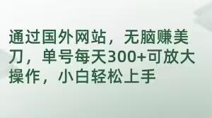 通过国外网站,无脑赚美刀,单号每天300+可放大操作,小白轻松上手【揭秘】-一个公司创业项目 - 淘金吧