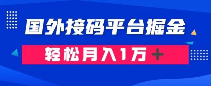 通过国外接码平台掘金:成本1.3,利润10+,轻松月入1万+【揭秘】-一个公司创业项目 - 淘金吧