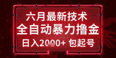 六月最新技术全自动暴力撸金,稳定日入2k+包起号,长期稳定【揭秘】-一个公司创业项目 - 淘金吧