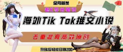 海外tiktok小说推文暴力项目，高停留率，高转化率，上手后一天搞顿饭钱不是问题-一个公司创业项目 - 淘金吧