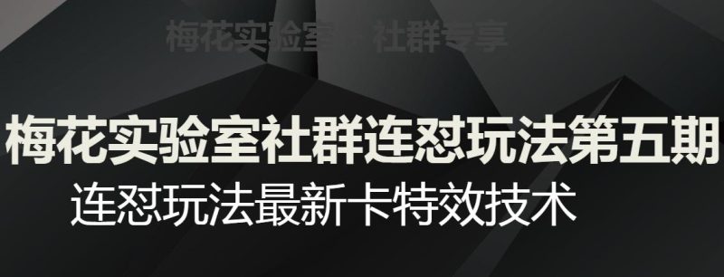 梅花实验室社群连怼玩法第五期,视频号连怼玩法最新卡特效技术-一个公司创业项目 - 淘金吧