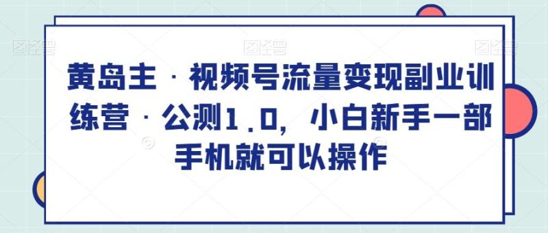 黄岛主·视频号流量变现副业训练营·公测1.0，小白新手一部手机就可以操作-一个公司创业项目 - 淘金吧