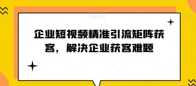 企业短视频精准引流矩阵获客,解决企业获客难题-一个公司创业项目 - 淘金吧