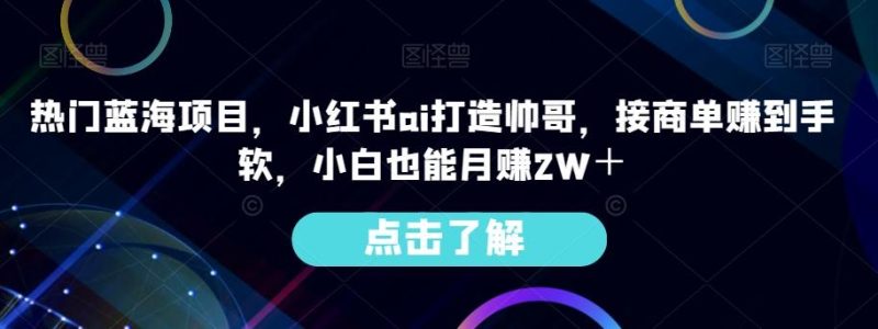 热门蓝海项目,小红书ai打造帅哥,接商单赚到手软,小白也能月赚2W+-一人公司创业项目 - 淘金吧
