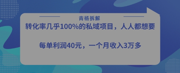 转化率最高的私域项目，每单利润40-50米，月入过1w-一个公司创业项目 - 淘金吧