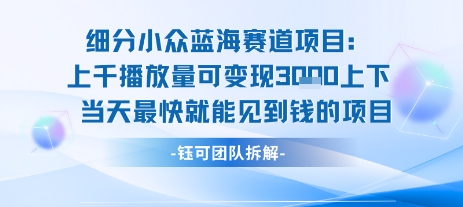 小众蓝海赛道项目:当天变现1k+适合新手操作 +适合长期玩-一个公司创业项目 - 淘金吧
