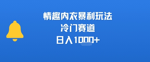 情趣内衣暴利玩法,冷门赛道,日入1k+-一个公司创业项目 - 淘金吧