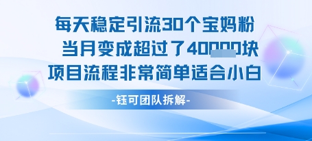 每天稳定引流30个人 当月变成超过了4个W项目流程非常简单适合小白-一个公司创业项目 - 淘金吧
