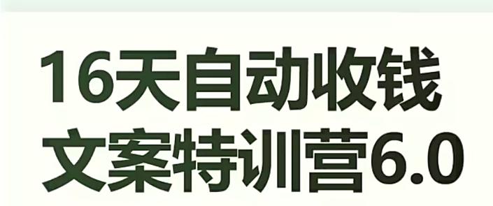 16天自动收钱文案特训营6.0，学会儿每天自动咔咔收钱-一个公司创业项目 - 淘金吧