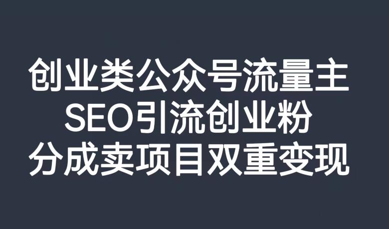 创业类公众号流量主，SEO引流创业粉，分成卖项目双重变现【揭秘】-一个公司创业项目 - 淘金吧