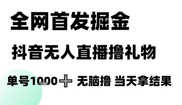 全网首发掘金抖音无人直播撸礼物，单号1k +无脑撸，当天拿结果【揭秘】-一个公司创业项目 - 淘金吧