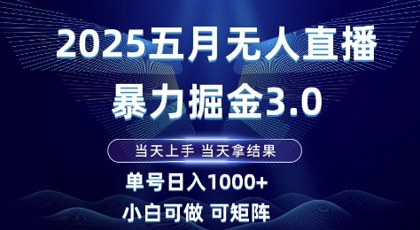 2025五月无人直播暴力掘金3.0,当天上手,当天拿结果,单号日入1k+小白可做可矩阵【揭秘】-一个公司创业项目 - 淘金吧