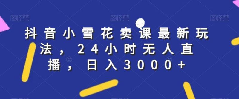 抖音小雪花卖课最新玩法，24小时无人直播，日入3000+【揭秘】-一个公司创业项目 - 淘金吧