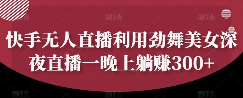 快手无人直播利用劲舞美女深夜直播一晚上躺赚300+-一个公司创业项目 - 淘金吧