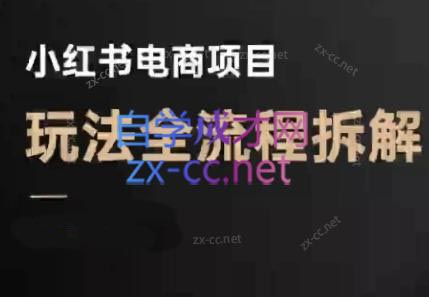 菲菲老师·小红书电商玩法(更新7月)-一个公司创业项目 - 淘金吧