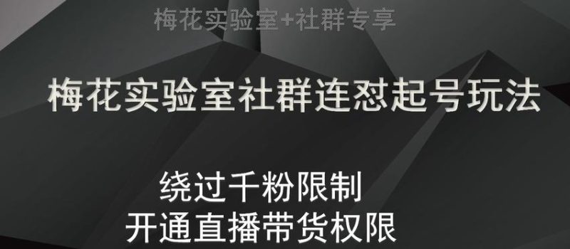 梅花实验室社群连怼起号玩法，视频号绕过千粉限制，开通直播带货权限【揭秘】-一个公司创业项目 - 淘金吧