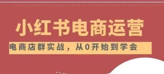 小红书店铺运营从小白到大神2.0，从入门到精通-一人公司创业项目 - 淘金吧