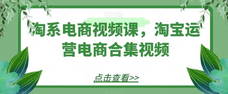 淘系电商视频课，淘宝运营电商合集视频-一个公司创业项目 - 淘金吧