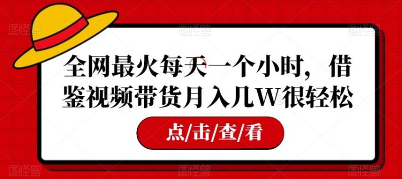 全网最火每天一个小时,借鉴视频带货月入几W很轻松【揭秘】-一个公司创业项目 - 淘金吧