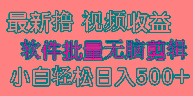 (9569期)发视频撸收益,软件无脑批量剪辑,第一天发第二天就有钱-一个公司创业项目 - 淘金吧