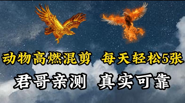 动物超燃混剪,每天轻松5张,剪辑简单大家爱看【揭秘】-一个公司创业项目 - 淘金吧