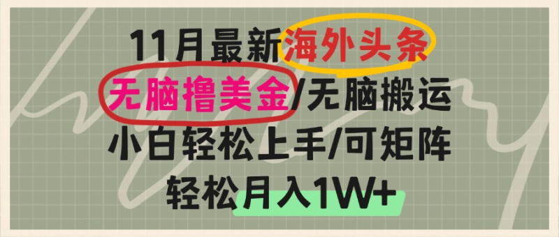 海外头条，无脑搬运撸美金，小白轻松上手，可矩阵操作，轻松月入1W+-一个公司创业项目 - 淘金吧