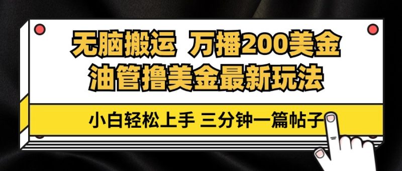 油管无脑搬运撸美金玩法教学,万播200刀,三分钟一篇帖子,小白轻松上手-一个公司创业项目 - 淘金吧