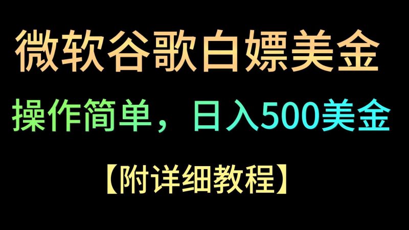 微软谷歌项目3.0,轻松日赚500+美金,操作简单,小白也可轻松入手!-一个公司创业项目 - 淘金吧